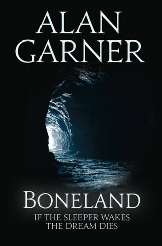 Cover image for 9780007463251 - Boneland