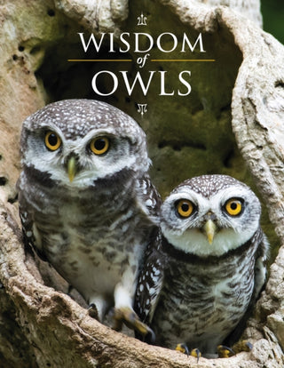 Cover image for 9780228105107 - Wisdom of Owls