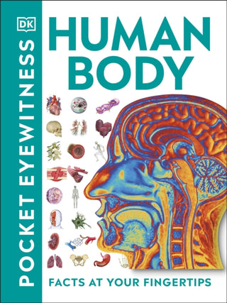 Cover image for 9780241343630 - Pocket Eyewitness Human Body