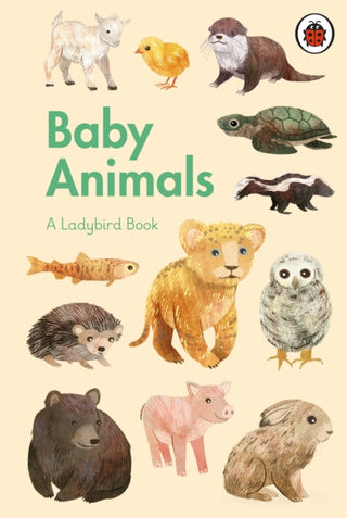 Cover image for 9780241416907 - A Ladybird Book: Baby Animals