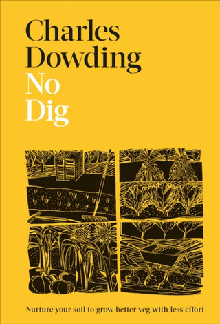 Cover image for 9780241541814 - No Dig