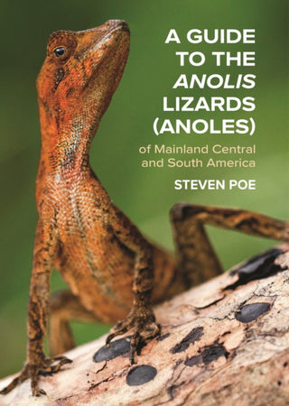 Cover image for 9780691192871 - A Guide to the Anolis Lizards (Anoles) of Mainland Central and South America