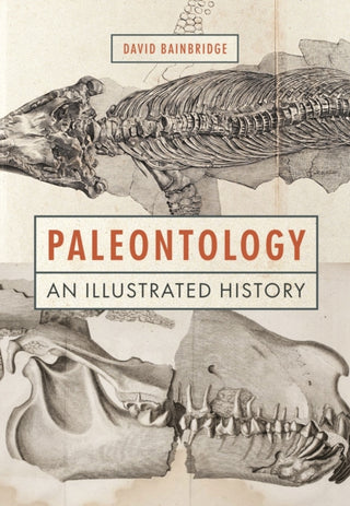 Cover image for 9780691220925 - Paleontology