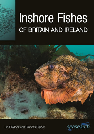 Cover image for 9780691249018 - Inshore Fishes of Britain and Ireland