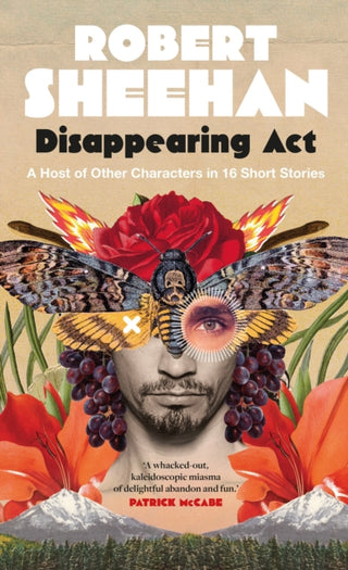 Cover image for 9780717189700 - Disappearing Act
