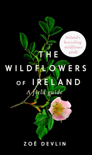 Cover image for 9780717191871 - The Wildflowers of Ireland