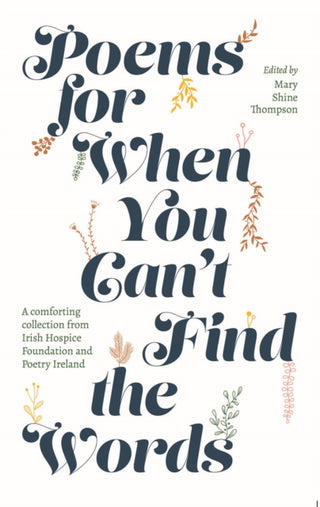 Cover image for 9780717193738 - Poems for When You Can't Find the Words