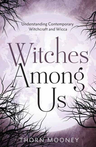 Cover image for 9780738777375 - Witches Among Us