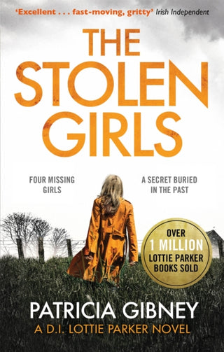 Cover image for 9780751572193 - The Stolen Girls