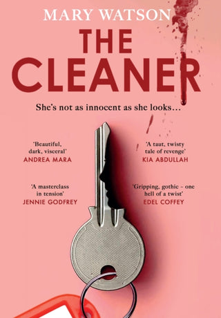 Cover image for 9780857506030 - The Cleaner