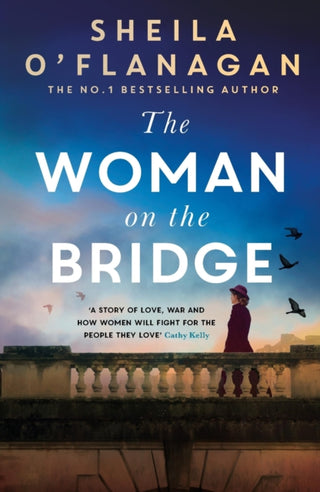 Cover image for 9781035402793 - The Woman on the Bridge