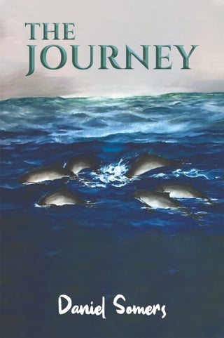 Cover image for 9781035800193 - The Journey