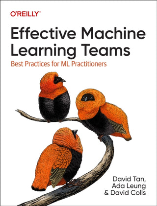 Cover image for 9781098144630 - Effective Machine Learning Teams