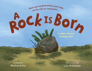 Cover image for 9781250749925 - A Rock Is Born