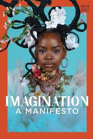Cover image for 9781324105015 - Imagination