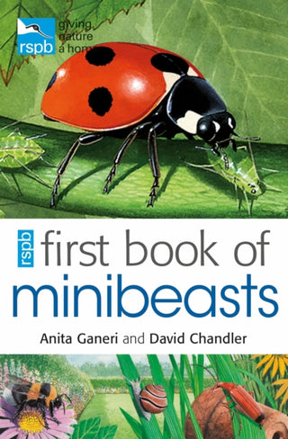 Cover image for 9781408137154 - RSPB First Book Of Minibeasts