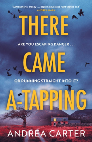 Cover image for 9781408724033 - There Came A-Tapping