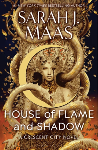 Cover image for 9781408884447 - House of Flame and Shadow