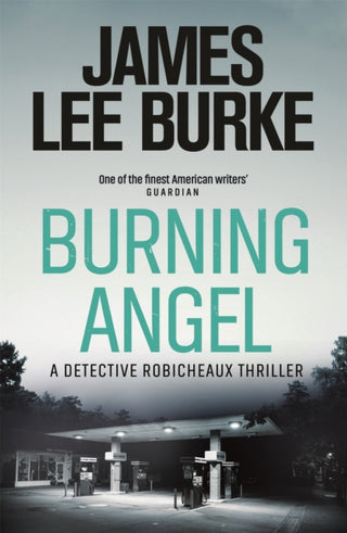 Cover image for 9781409126997 - Burning Angel