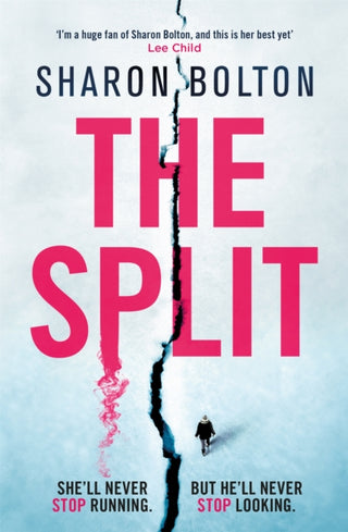 Cover image for 9781409174219 - The Split
