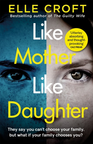Cover image for 9781409187233 - Like Mother, Like Daughter