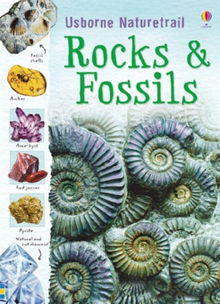 Cover image for 9781409527695 - Rocks and Fossils