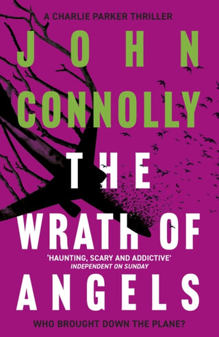 Cover image for 9781444756487 - The Wrath of Angels