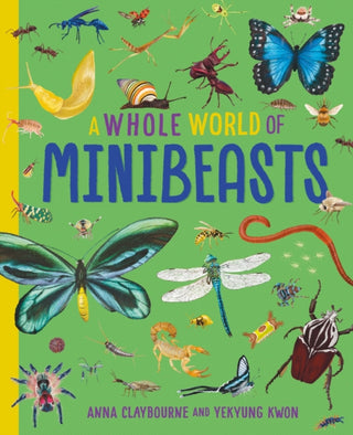Cover image for 9781445188539 - A Whole World of...: Minibeasts