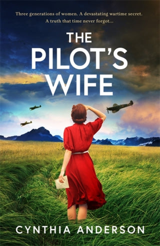 Cover image for 9781471419058 - The Pilot's Wife