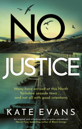 Cover image for 9781472134813 - No Justice