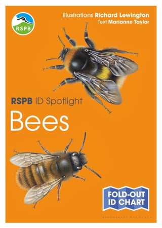 Cover image for 9781472974273 - RSPB ID Spotlight - Bees