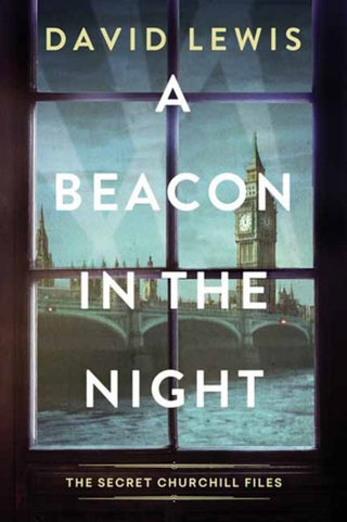 Cover image for 9781496749123 - A Beacon in the Night