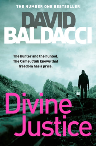 Cover image for 9781509851003 - Divine Justice