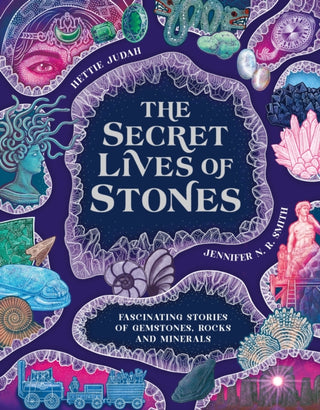 Cover image for 9781510231085 - The Secret Lives of Stones