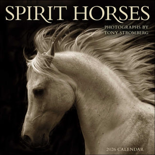 Cover image for 9781524899066 - Spirit Horses 2026 Wall Calendar by Tony Stromberg