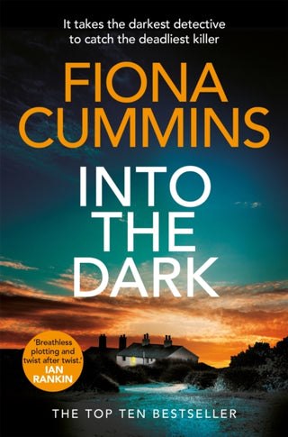 Cover image for 9781529040173 - Into the Dark