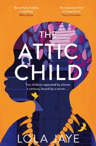 Cover image for 9781529064582 - The Attic Child