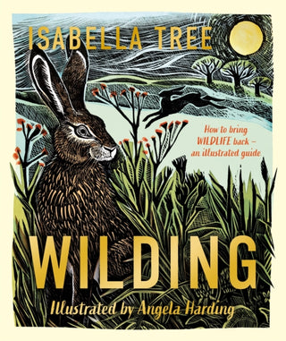 Cover image for 9781529092844 - Wilding: How to Bring Wildlife Back - an Illustrated Guide