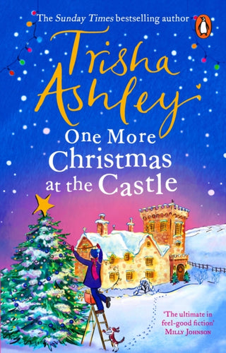 Cover image for 9781529177008 - One More Christmas at the Castle