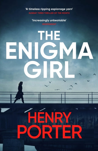 Cover image for 9781529403350 - The Enigma Girl