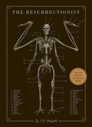 Cover image for 9781594746161 - The Resurrectionist