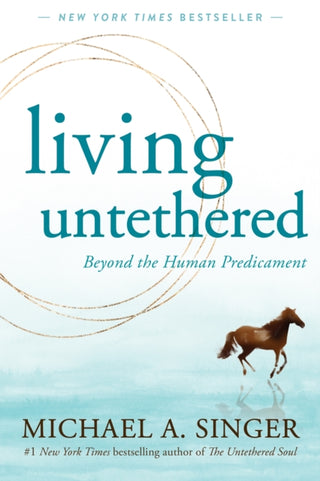 Cover image for 9781648480935 - Living Untethered