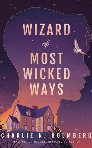Cover image for 9781662516825 - Wizard of Most Wicked Ways