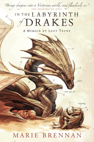 Cover image for 9781783297764 - In the Labyrinth of Drakes