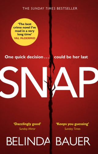 Cover image for 9781784160852 - Snap