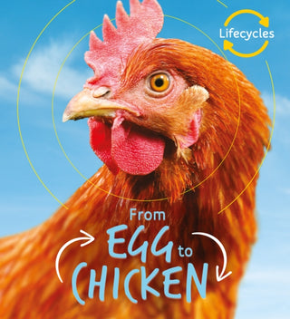 Cover image for 9781786036179 - Lifecycles: Egg to Chicken