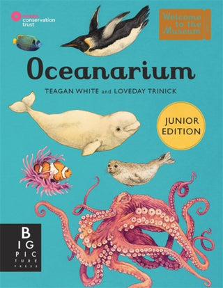 Cover image for 9781800784895 - Oceanarium (Junior Edition)