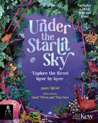 Cover image for 9781800787377 - Under the Starlit Sky
