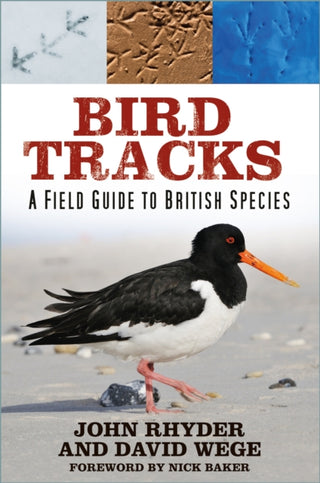 Cover image for 9781803991702 - Bird Tracks