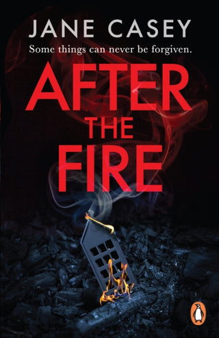 Cover image for 9781804942611 - After the Fire